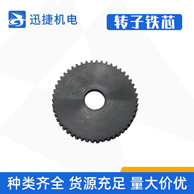 轉(zhuǎn)子鐵芯